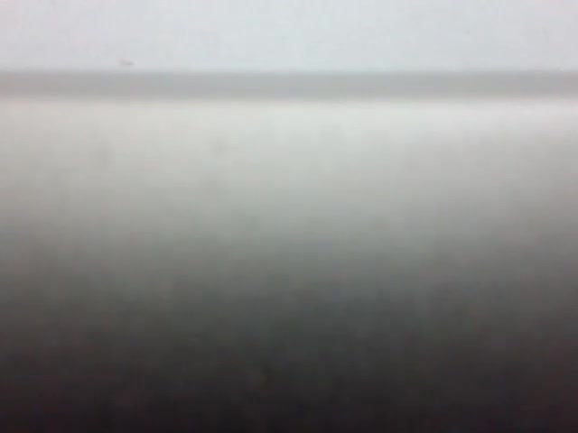 Test Live