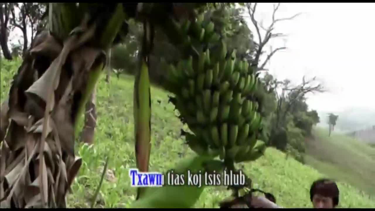 Upload testing 351354